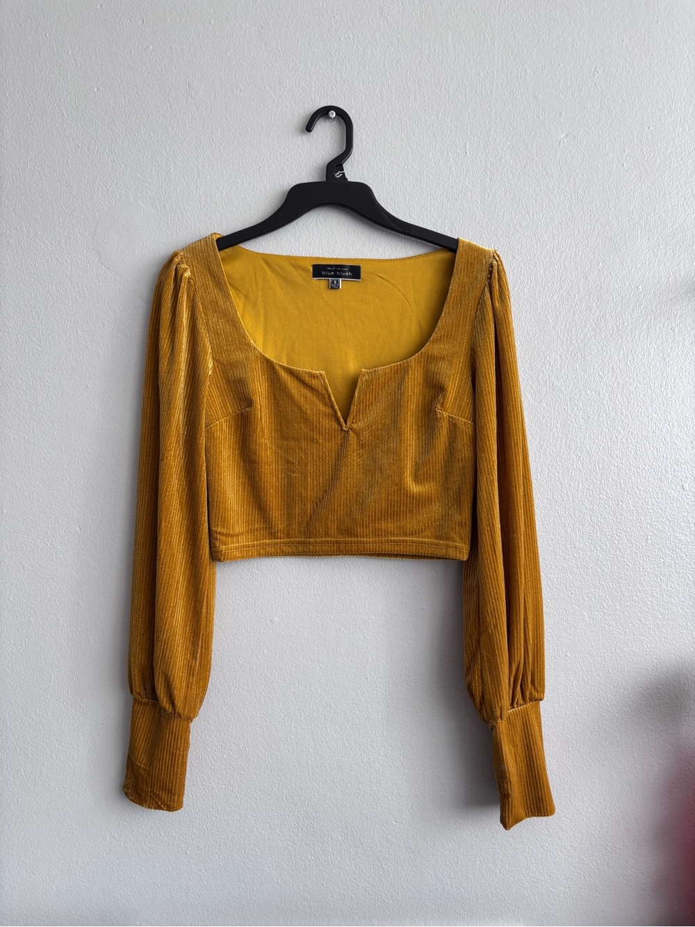 Blue Blush Mustard Velvet Long Sleeve Crop Top